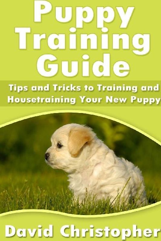 Puppy Training Guide