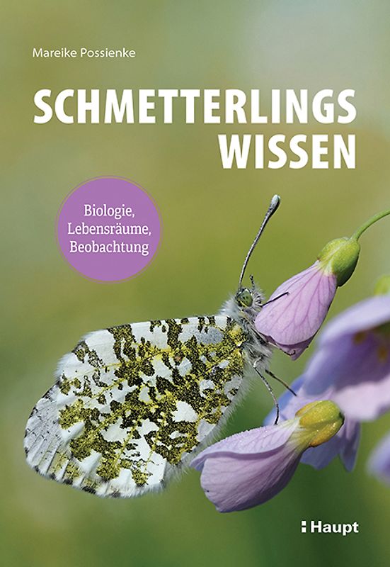 Schmetterlingswissen
