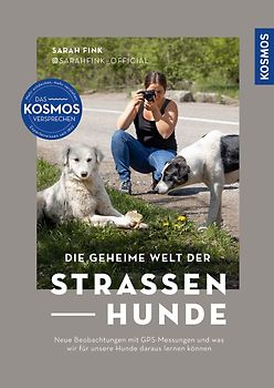 Die geheime Welt der Straßenhunde
