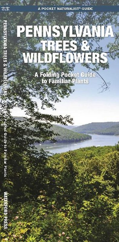 Pennsylvania Trees & Wildflowers
