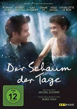 Der Schaum der Tage DVD