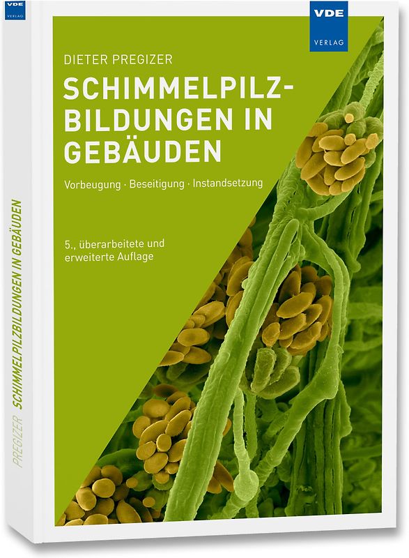 Schimmelpilzbildungen in Gebäuden