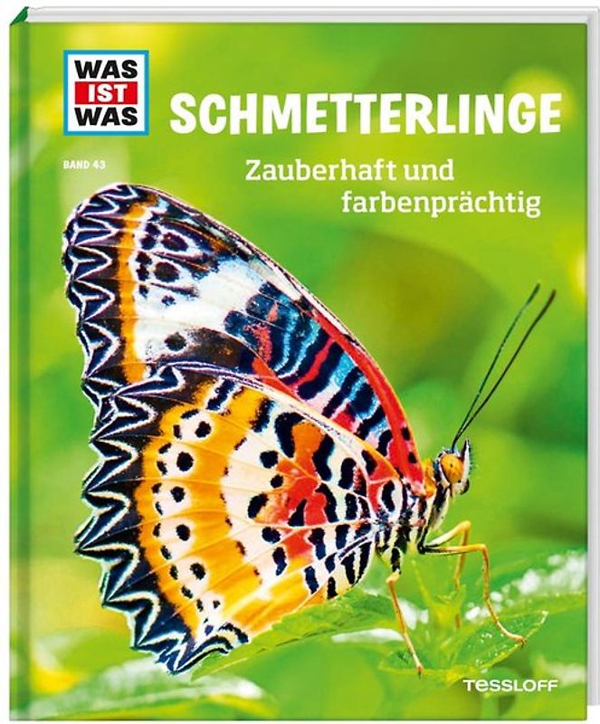 WAS IST WAS Band 43 Schmetterlinge. Zauberhaft und farbenprächtig