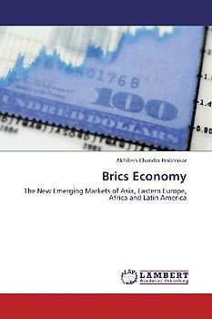 Brics Economy