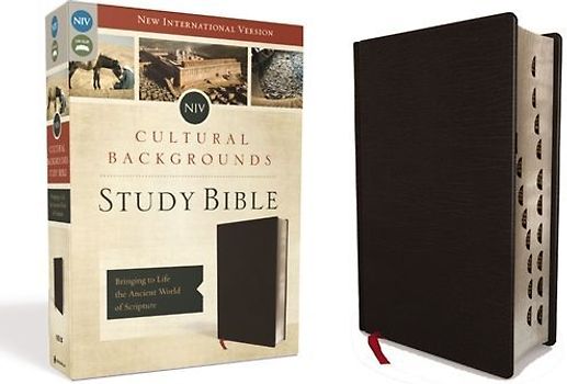 NIV, Cultural Backgrounds Study Bible, Indexed, Bonded Leather