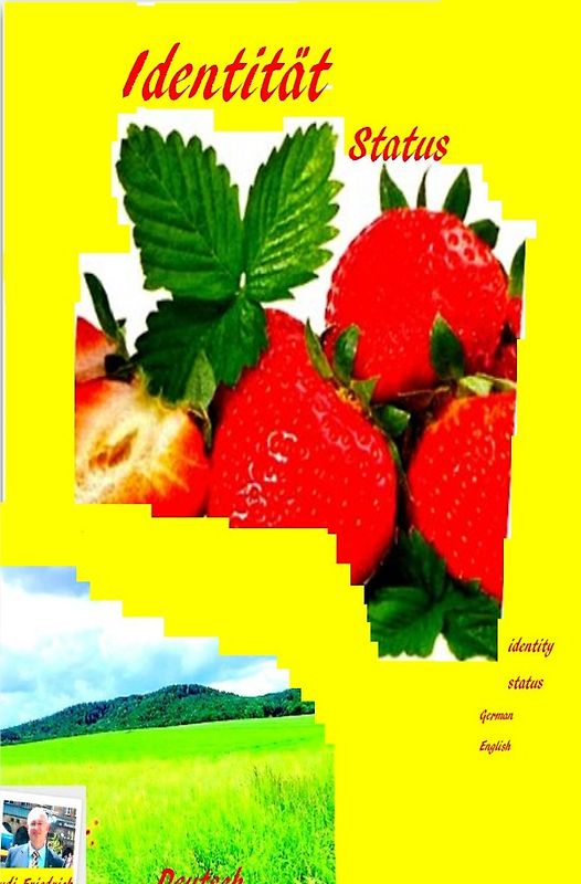 Identität Status identity status German English