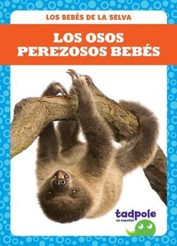 Los Osos Perezosos Bebés (Sloth Babies)