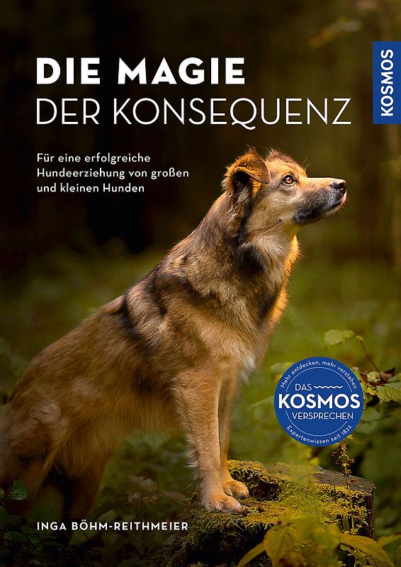 Die Magie der Konsequenz