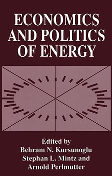 Economics and Politics of Energy