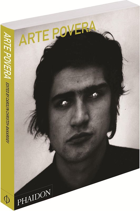 Arte Povera (Abridged Edition)