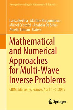Mathematical and Numerical Approaches for Multi-Wave Inverse Problems