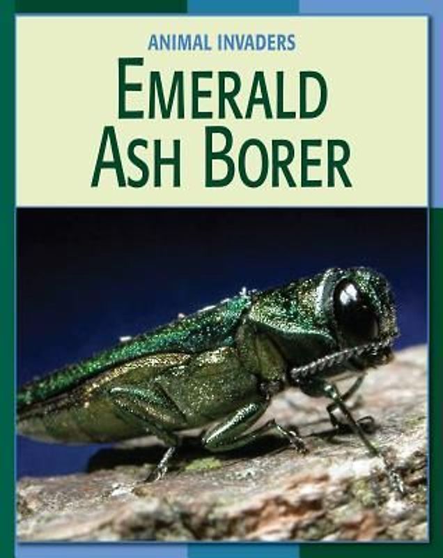 Emerald Ash Borer