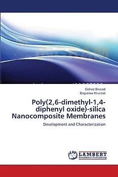 Poly(2,6-dimethyl-1,4-diphenyl oxide)-silica Nanocomposite Membranes
