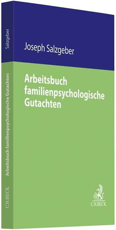 Arbeitsbuch familienpsychologische Gutachten