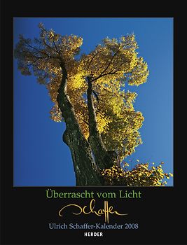 Überrascht vom Licht 2008