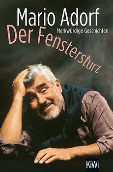 Der Fenstersturz