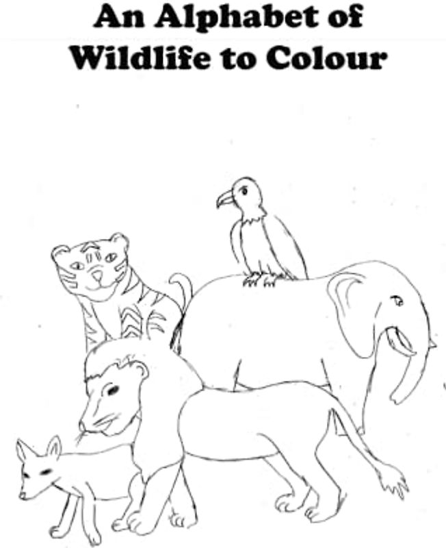 An Alphabet of Wildlife to Colour