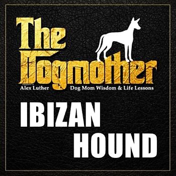 The Dogmother: Ibizan Hound: (Dog Mom Wisdom & Life Lessons)