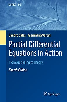 Partial Differential Equations in Action