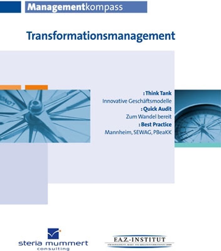 Managementkompass Transformationsmanagement