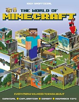 The World of Minecraft