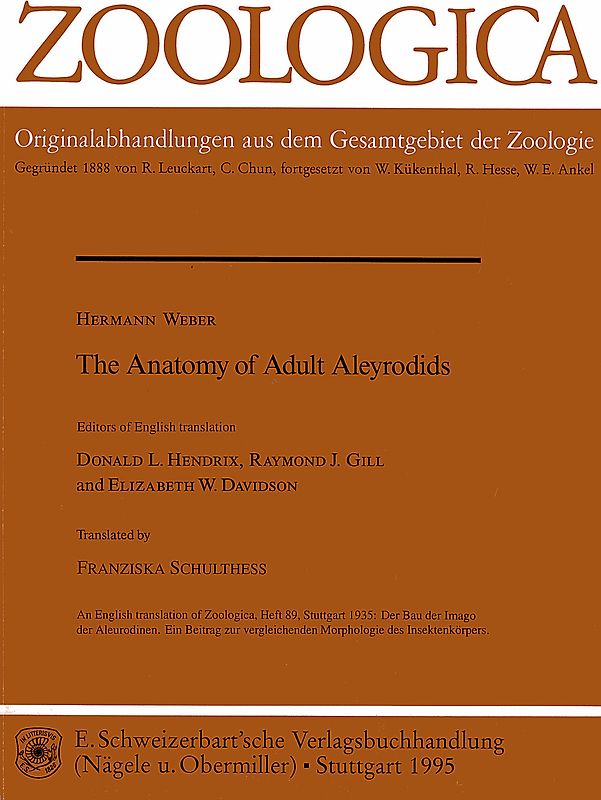 The Anatomy of Adult Aleyrodids