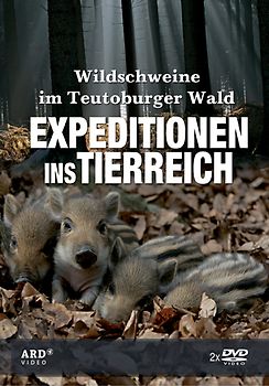 Expeditionen ins Tierreich: Wildschweine im Teutoburger Wald DVD