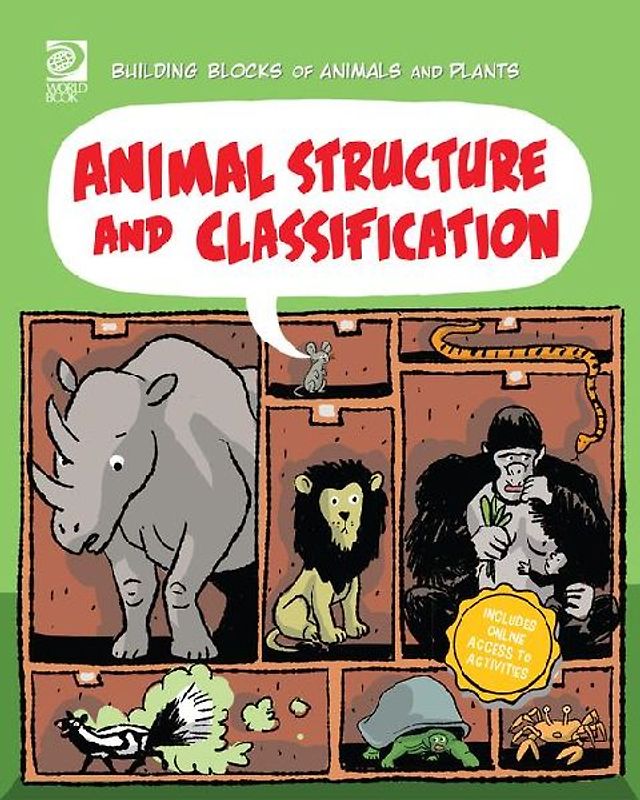 Animal Structure and Classification