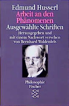 Arbeit an den Phänomenen