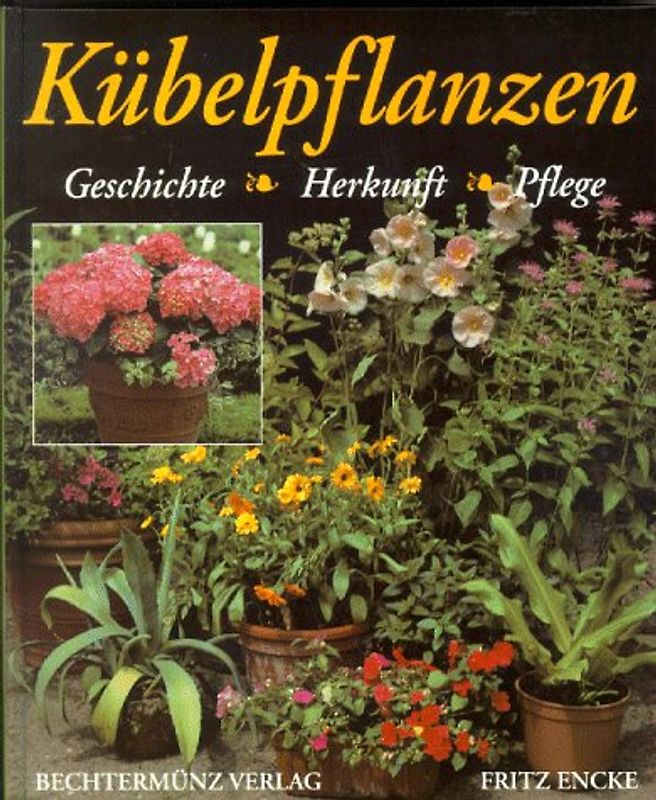 Kübelpflanzen. Geschichte - Herkunft - Pflege