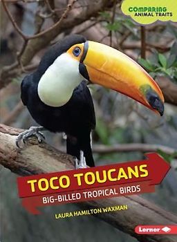 Toco Toucans