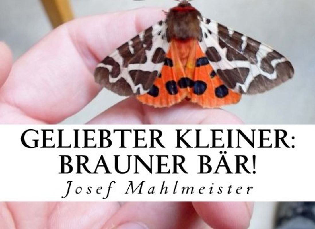 Geliebter Kleiner: Brauner Bär!: Papa für einen Tag! (Schmetterlinge, Band 2)