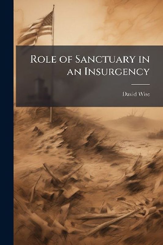 Role of Sanctuary in an Insurgency