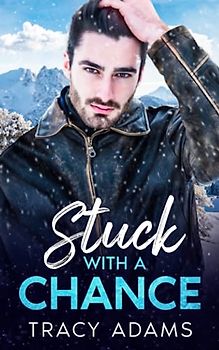 Stuck With A Chance: second chance of enemy to lover romance