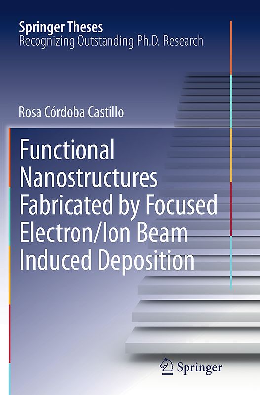 Functional Nanostructures Fabricated by Focused Electron/Ion Beam Induced Deposition