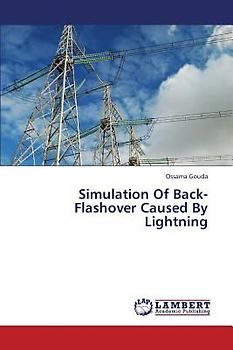 Simulation Of Back-Flashover Caused By Lightning