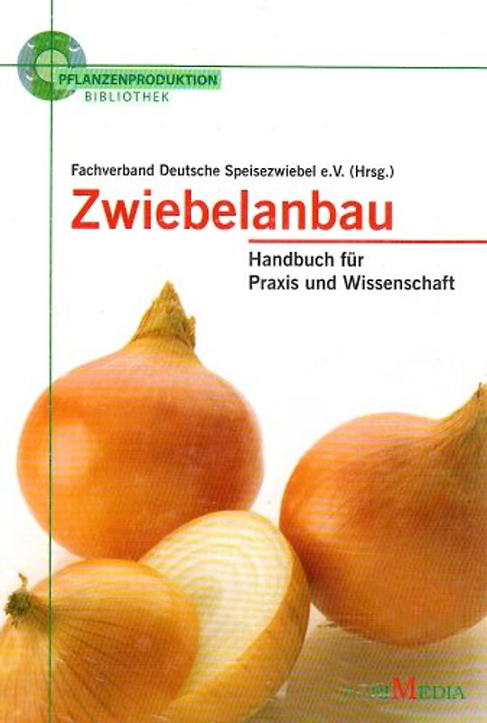 Zwiebelanbau