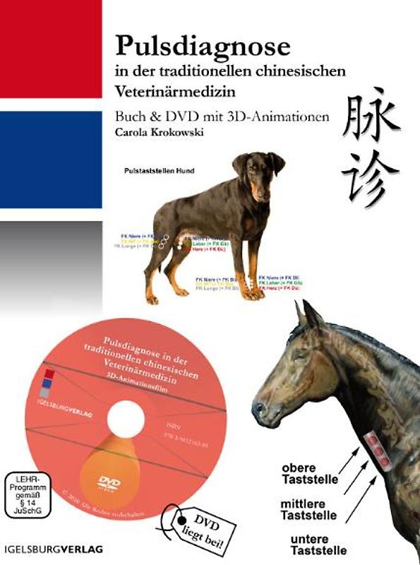 Pulsidagnose in der chinesischen Veterinärmedizin
