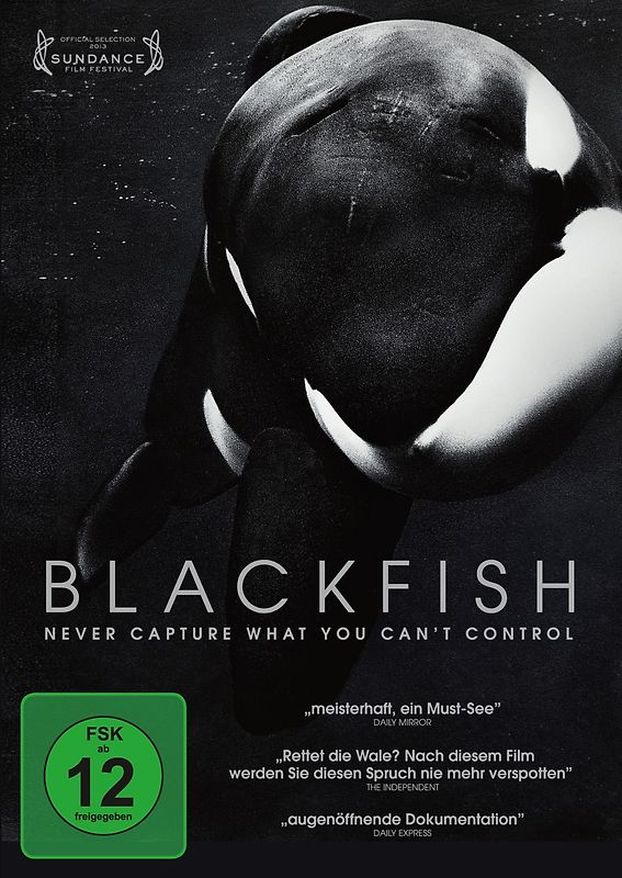 Blackfish (OmU) DVD