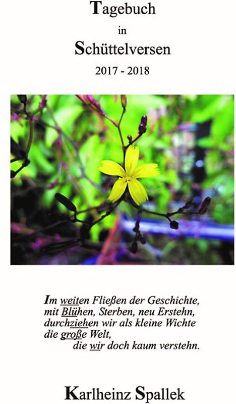 Fototagebuch in Schüttelversen 2017 - 2018