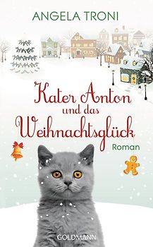 Kater Anton und das Weihnachtsglück