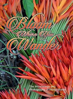 Bloom Where You Wander (matte cover)