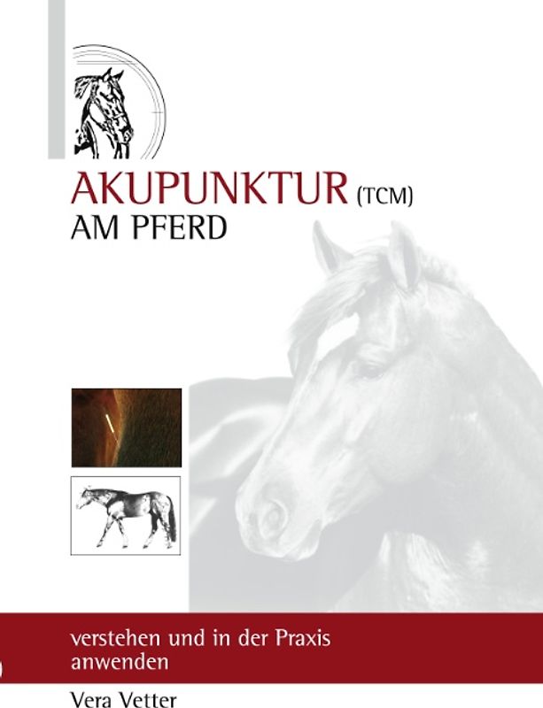 Akupunktur (TCM) am Pferd
