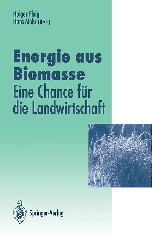 Energie aus Biomasse