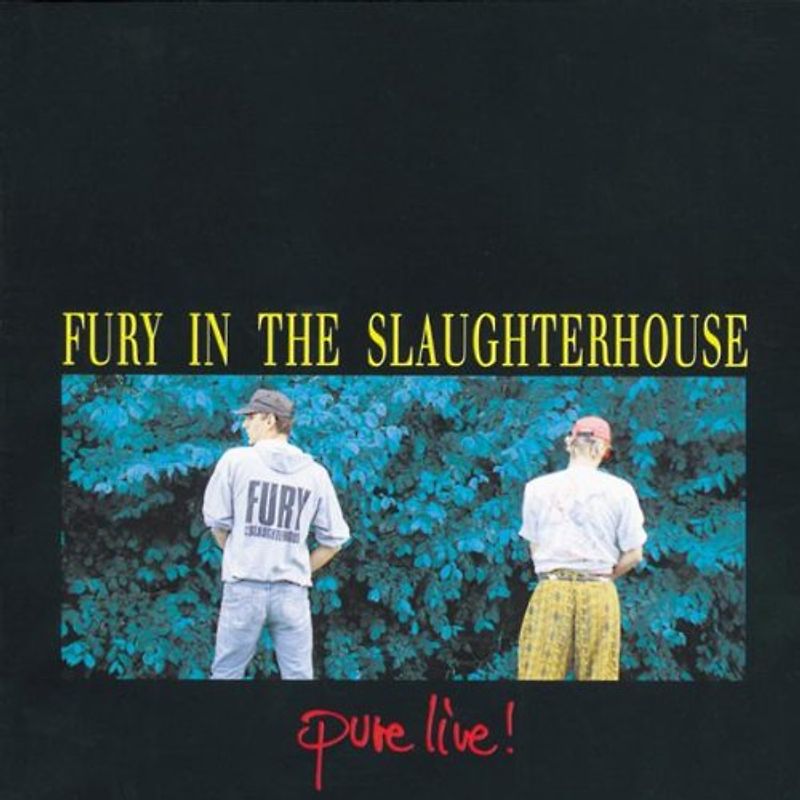 Fury in the Slaughterhouse - Pure Live