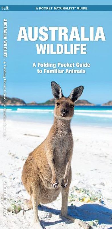 Australian Wildlife: A Folding Pocket Guide to Familiar Species (Pocket Naturalist Guide Series) - Kavanagh, James