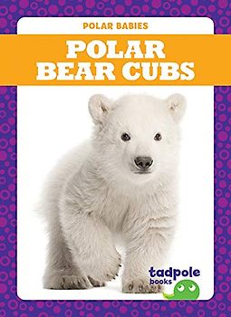 Polar Bear Cubs