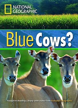 Blue Cows?