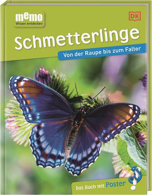memo Wissen entdecken. Schmetterlinge