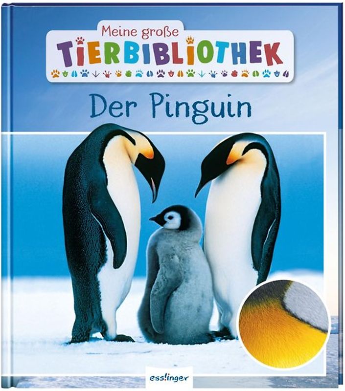 Meine große Tierbibliothek: Der Pinguin